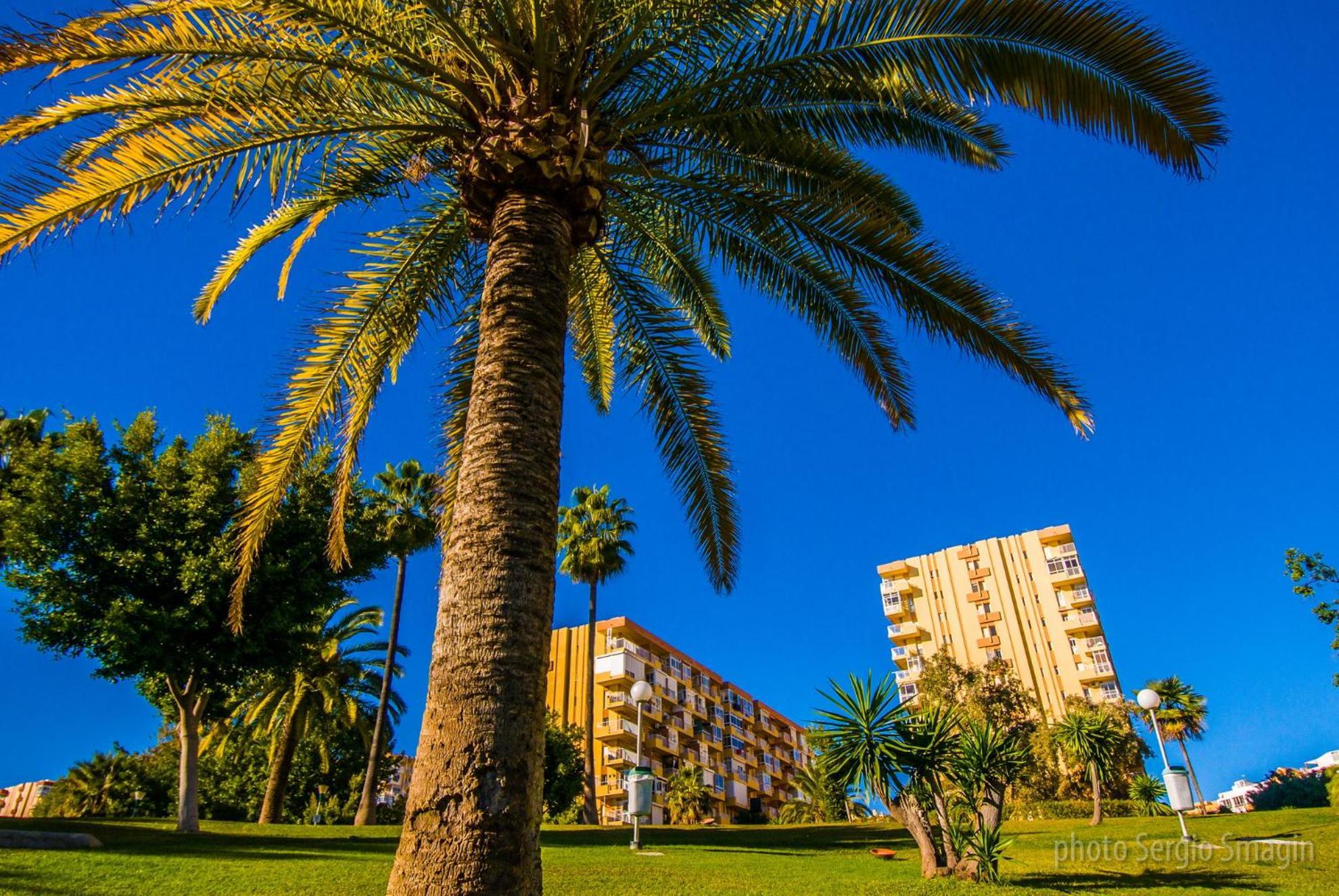 Appartement 717 Jupiter - Vista Al Mar- Piscina Y Playa- Excelente Ubicacion *